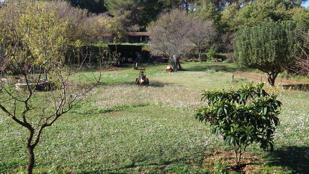 Le Mas Du Pin Vert Aubagne Exterior foto